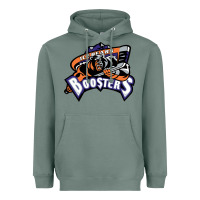 Sage knoxville ice bears Heavyweight Hoodie - linhVisuals