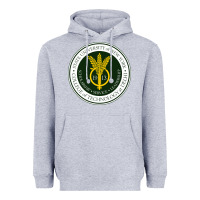 Heather Grey Suny Delhi Heavyweight Hoodie - linhVisuals