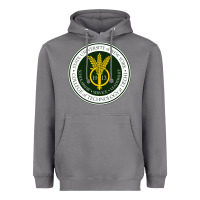 Storm Suny Delhi Heavyweight Hoodie - linhVisuals