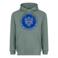 Sage Suny Fredonia Heavyweight Hoodie - linhVisuals