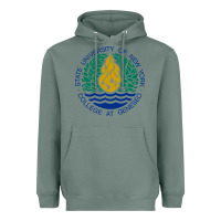 Sage Suny Geneseo Heavyweight Hoodie - linhVisuals