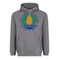 Storm Suny Geneseo Heavyweight Hoodie - linhVisuals
