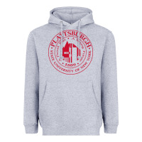 Heather Grey Suny Plattsburgh Heavyweight Hoodie - linhVisuals