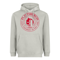 Moon Dust Suny Plattsburgh Heavyweight Hoodie - linhVisuals