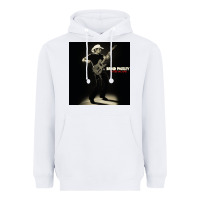 White brad paisley alive tour 2022 Heavyweight Hoodie - linhVisuals
