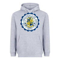 Heather Grey University Of Akron Heavyweight Hoodie - linhVisuals