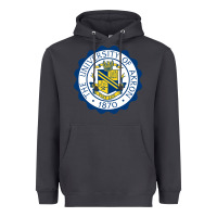 Smoke University Of Akron Heavyweight Hoodie - linhVisuals