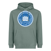 Sage University Of Delaware Heavyweight Hoodie - linhVisuals