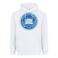 White University Of Delaware Heavyweight Hoodie - linhVisuals