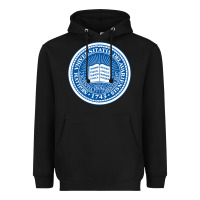 Black University Of Delaware Heavyweight Hoodie - linhVisuals
