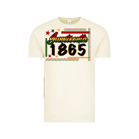 Vintage Arctic Juneteenth 1865 Vintage Tee - FaDigitalArtStudio