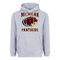 Heather Grey The Panthers Heavyweight Hoodie - linhVisuals