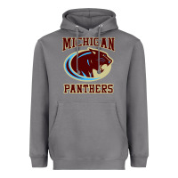 Storm The Panthers Heavyweight Hoodie - linhVisuals