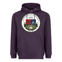 Plum Upr At Arecibo Heavyweight Hoodie - linhVisuals