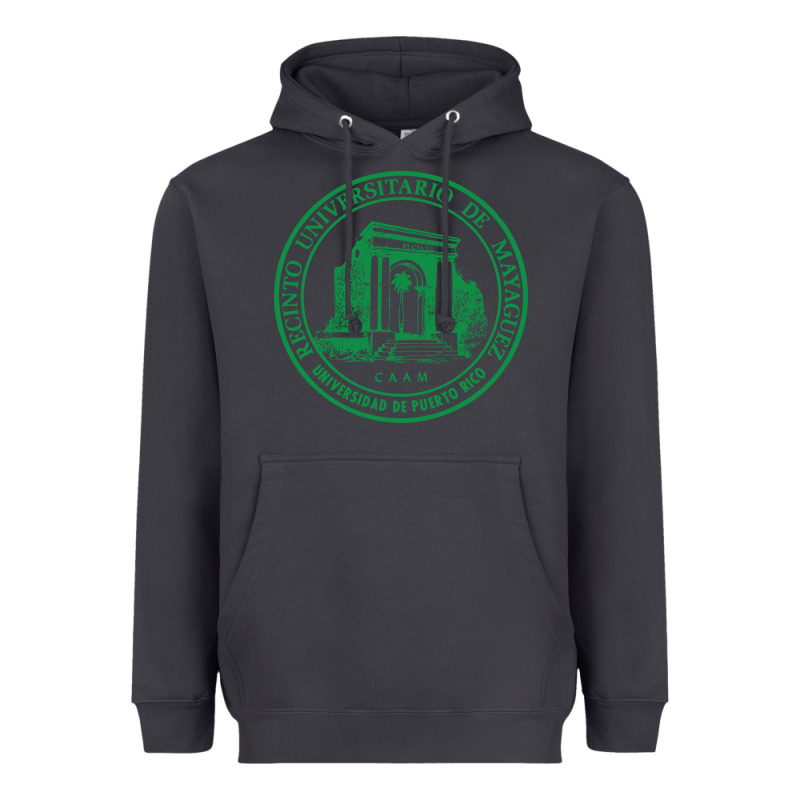 Upr At Mayaguez Heavyweight Hoodie by linhVisuals | Teevron