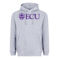 Heather Grey East Carolina University Heavyweight Hoodie - linhVisuals