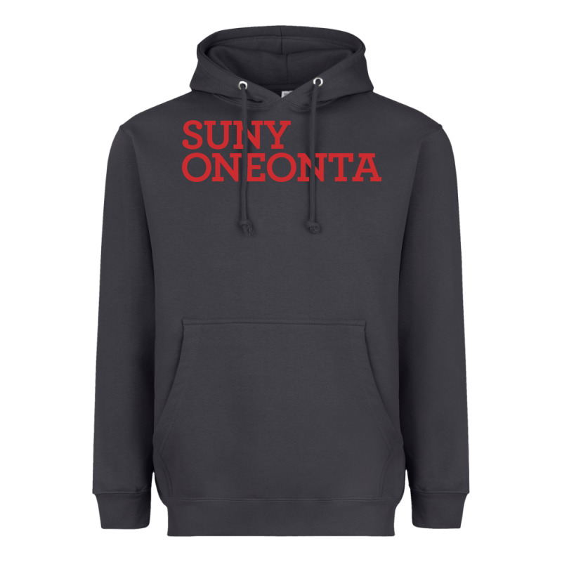 Suny Oneonta Wordmark Heavyweight Hoodie by linhVisuals | Teevron