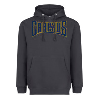 Smoke Canisius Athletics Wordmark Heavyweight Hoodie - linhVisuals