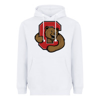 White Cornell Big Red Heavyweight Hoodie - linhVisuals