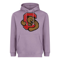 Lavender Cornell Big Red Heavyweight Hoodie - linhVisuals