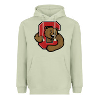 Matcha Cornell Big Red Heavyweight Hoodie - linhVisuals
