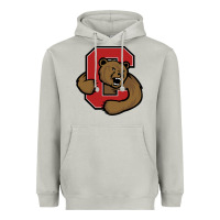 Moon Dust Cornell Big Red Heavyweight Hoodie - linhVisuals