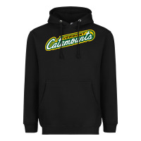 Black Vermont Catamounts Athletics Wordmark Heavyweight Hoodie - linhVisuals