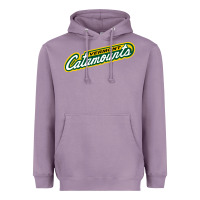 Lavender Vermont Catamounts Athletics Wordmark Heavyweight Hoodie - linhVisuals