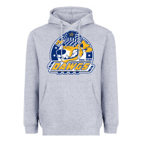 Heather Grey roanoke rail yard dawgs Heavyweight Hoodie - linhVisuals