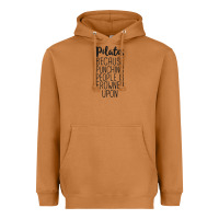 Meerkat pilates because punching people is frowned upon t shirt Heavyweight Hoodie - linhVisuals