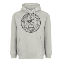 Moon Dust dickinson, college Heavyweight Hoodie - linhVisuals