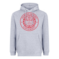 Heather Grey northeastern university Heavyweight Hoodie - linhVisuals