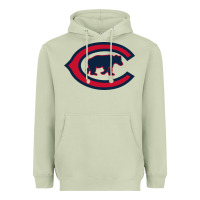 The Cubbies Baseball Heavyweight Hoodie | Teevron