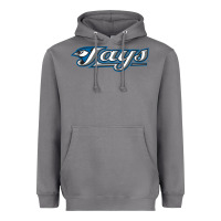 Storm The Jays Baseball Heavyweight Hoodie - linhVisuals