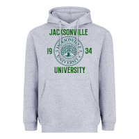 Heather Grey jacksonville university Heavyweight Hoodie - linhVisuals