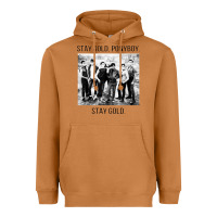 Meerkat the outsiders Heavyweight Hoodie - linhVisuals
