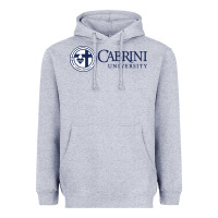 Heather Grey cabrini Heavyweight Hoodie - linhVisuals