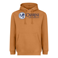 Meerkat cabrini Heavyweight Hoodie - linhVisuals