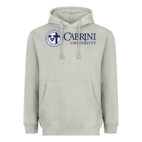 Moon Dust cabrini Heavyweight Hoodie - linhVisuals