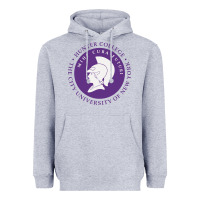 Heather Grey hunter college Heavyweight Hoodie - linhVisuals