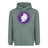 Sage hunter college Heavyweight Hoodie - linhVisuals