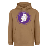 Hunter College Heavyweight Hoodie | Teevron