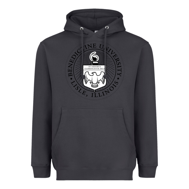 Benedictine University Heavyweight Hoodie by linhVisuals | Teevron