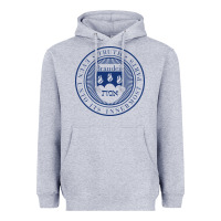 Heather Grey Brandeis University Heavyweight Hoodie - linhVisuals