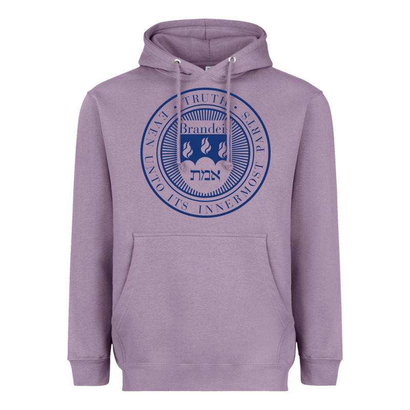 Brandeis University Heavyweight Hoodie by linhVisuals | Teevron