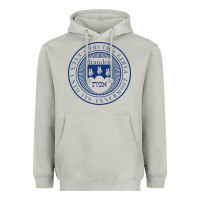 Moon Dust Brandeis University Heavyweight Hoodie - linhVisuals