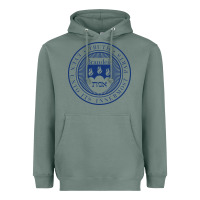 Sage Brandeis University Heavyweight Hoodie - linhVisuals