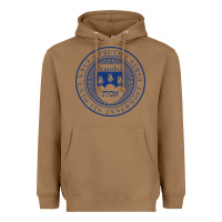 Toasted Coconut Brandeis University Heavyweight Hoodie - linhVisuals
