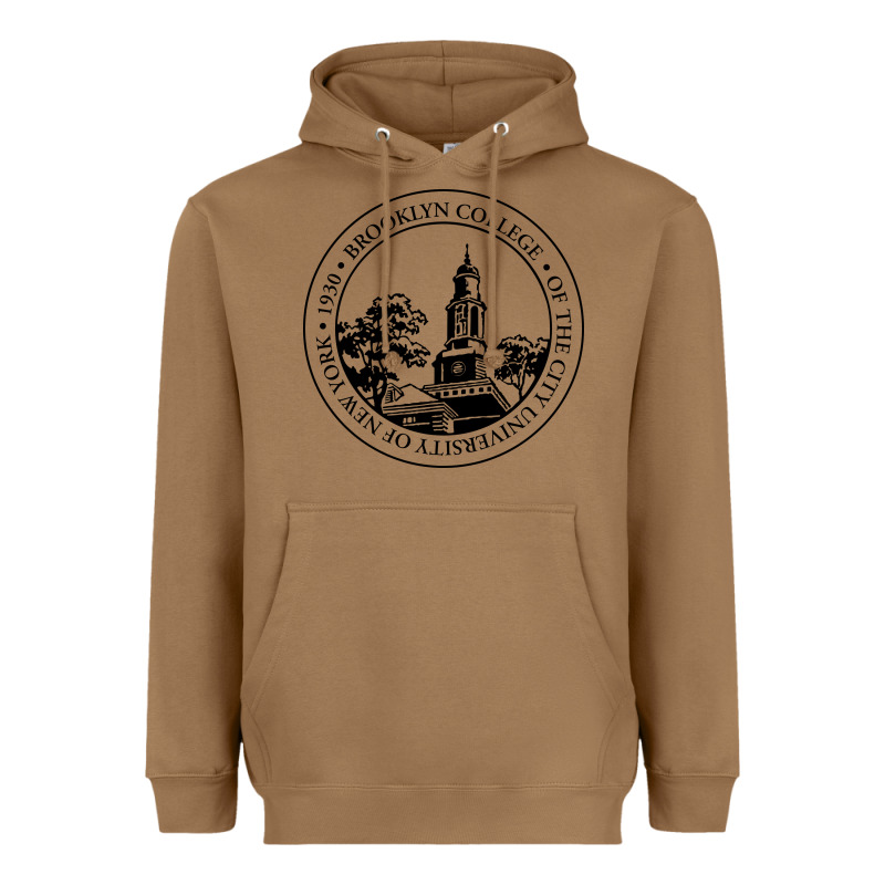 Brooklyn College Heavyweight Hoodie by linhVisuals | Teevron