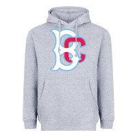 Heather Grey brooklyn Heavyweight Hoodie - linhVisuals